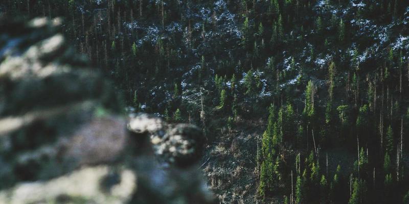 BB礼品与个性化礼物：教育机构如何通过校庆礼品定制深化校友关系