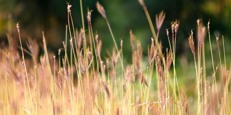 BB礼品定制新思路：创意厨具与食品礼盒如何成为餐饮业复购率提升利器