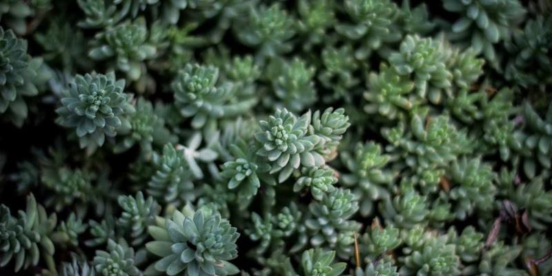 乡村振兴助农礼盒：农产品区域品牌如何通过创意礼物与BB礼品策略打开城市消费市场