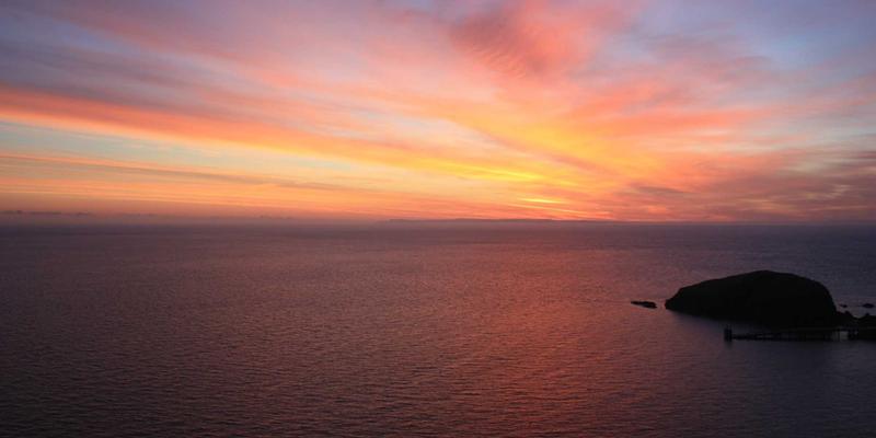 健康养生礼品定制指南：从有机食品到智能健康设备的个性化礼物与企业礼品解决方案