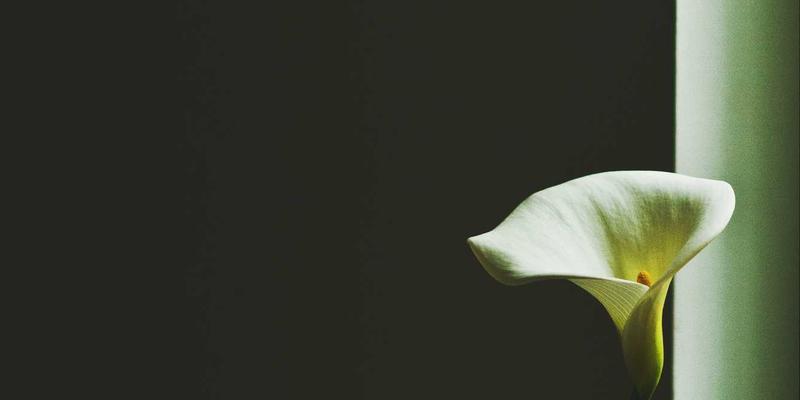 创意礼物如何成就品牌温度：高端家居品牌的企业礼品与纪念品定制艺术