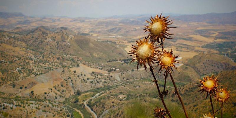 律师事务所专业形象礼品定制：用创意礼物与BB礼品提升专业性与客户信任度