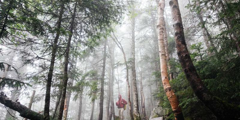 房地产客户礼品定制全攻略：从开盘到交房的个性化纪念品与BB礼品策略