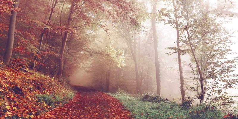 房地产行业客户礼品定制全攻略：从交房礼到节日关怀的深度策略