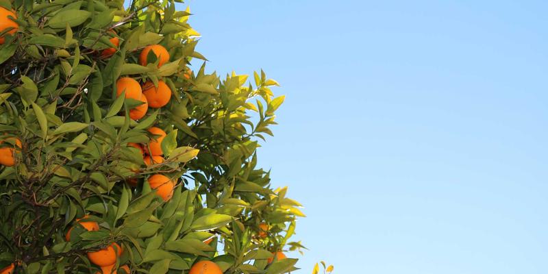 政府与事业单位对外交流礼品：如何巧妙融合地域文化元素与实用性