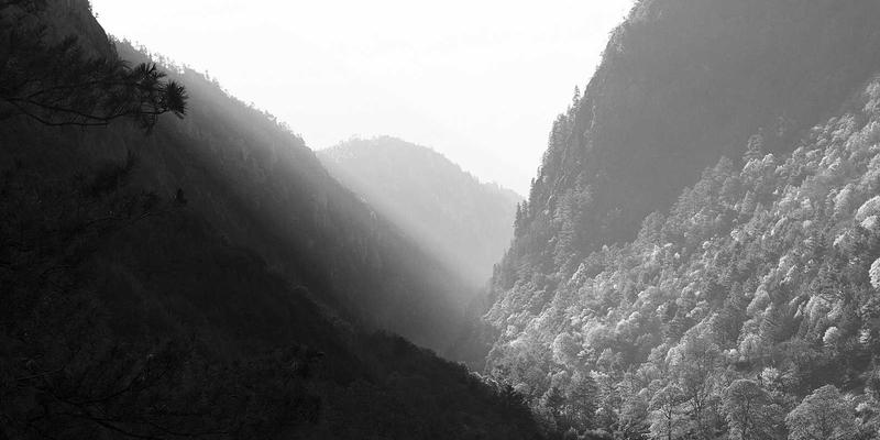 礼品定制:从创意礼物到企业战略,如何用定制化传递深度价值