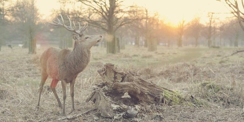 茶叶礼品定制的高级玩法：如何将茶文化、品牌故事与私人订制完美融合
