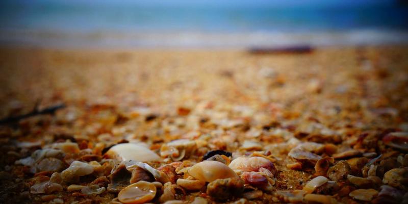 超越奢华：金融机构如何用艺术品与收藏品定制化服务，为高净值客户打造个性化创意礼物