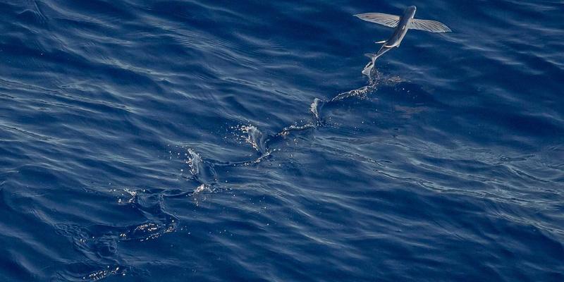 金融机构高净值客户礼品定制策略：用创意礼物与BB礼品打造尊贵财富体验